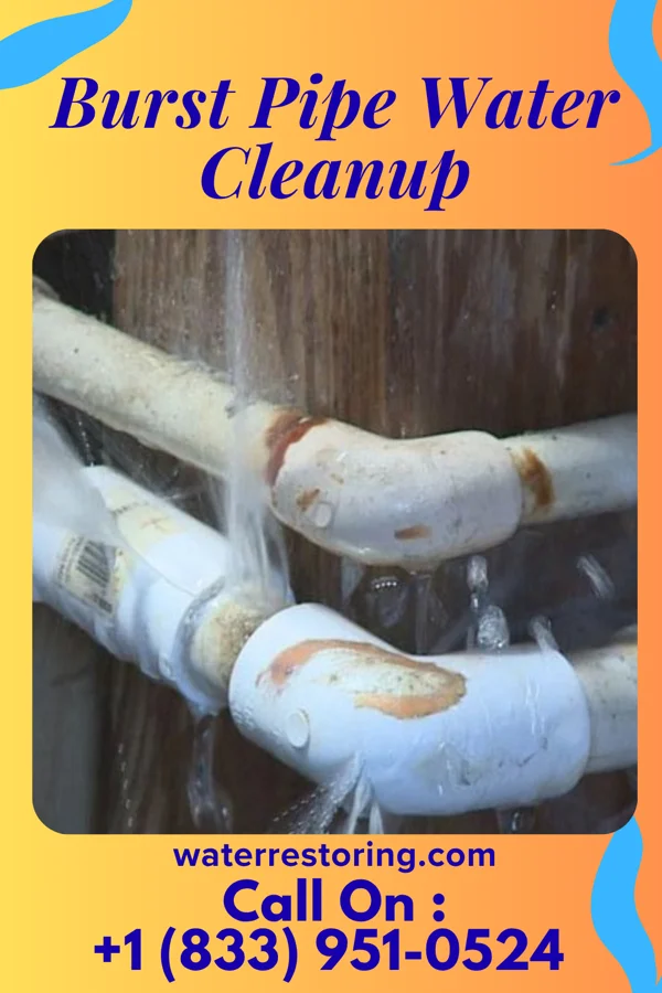 Burst Pipe Water Cleanup in South Lincoln, VT
