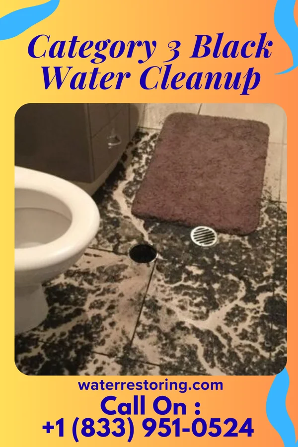 Category 3 Black Water Cleanup in South Lincoln, VT