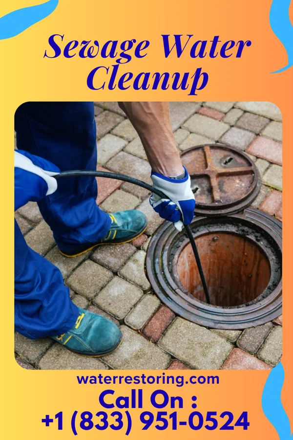Sewage Water Cleanup in South Lincoln, VT