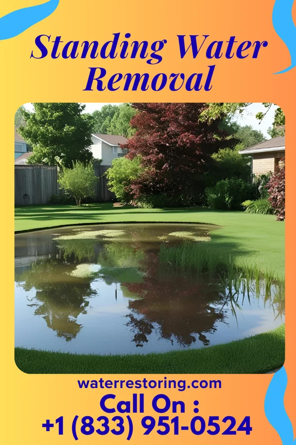 Standing Water Removal in South Lincoln, VT